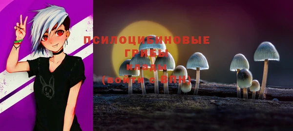 ALPHA PVP Вяземский