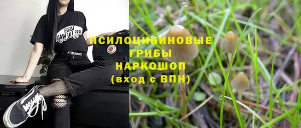 дурь Вязьма